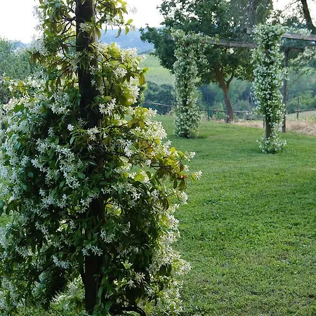 Apartment Tenuta Di Argiano A Montepulciano