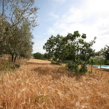 Tenuta Di Argiano A Montepulciano Chianciano Terme